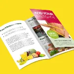 Tri Fold Brochure Promotional